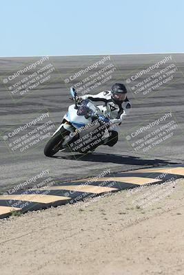 media/Oct-13-2025-Moto Forza (Mon) [[a66d839500]]/4-C Group/Session 2 (Bowl)/